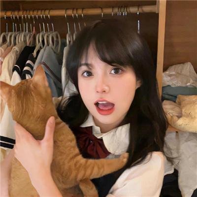 蓝猫龙骑团之炫迪传奇