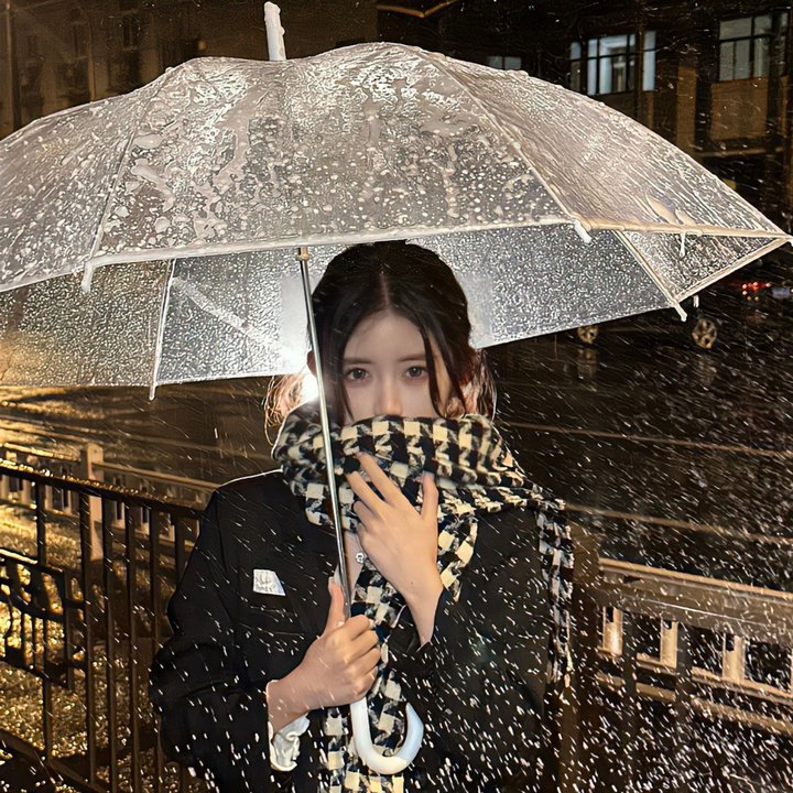 阿莱蒂公主